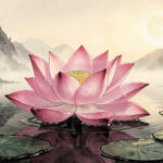 Lotus Flower Symbolism in Chinese Culture Explained